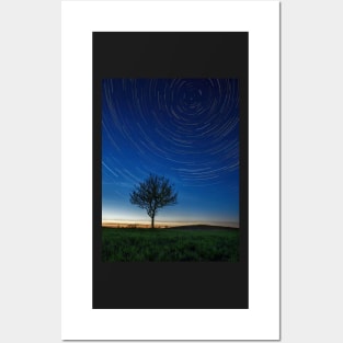 Lonely tree under stars emerging from the twilight glare Posters and Art